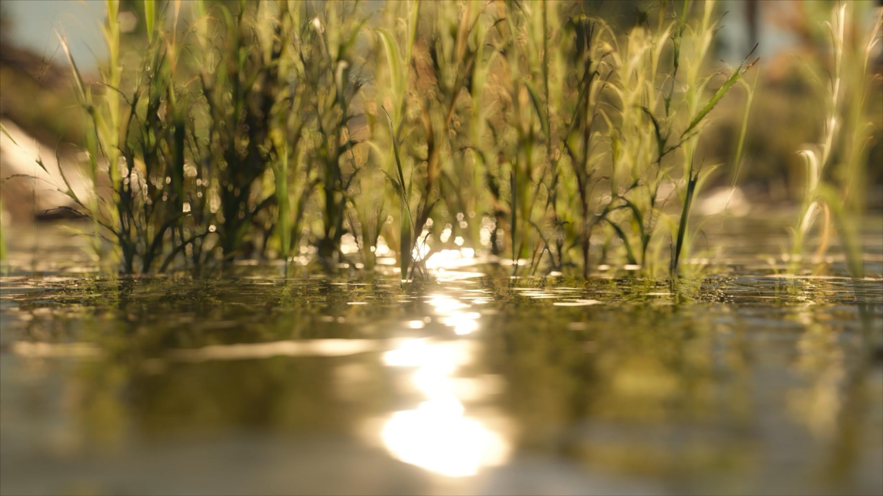 Studies on Breaking Immersion